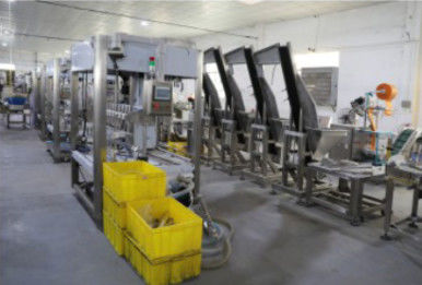 Maszyna do napełniania butelek 20KW, automatyczna maszyna do pakowania w folię termokurczliwą 1,2T